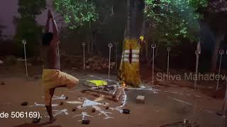 Kala Bhairava Sadhana | Lord Shiva Worship | Indian Swamijis Doing poojas |Mahadev kapala bhairava