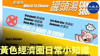 黃色經濟圈日常小知識｜#香港大紀元新唐人聯合新聞頻道