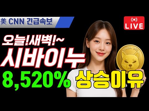 [ 시바이누 코인 ]8520% 상승한 이유~!!