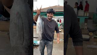 Tasty Full Tuna Fish Curry 🐠😋❤️ Full Fish Cooking 😍 #youtubeshorts #trending #shorts