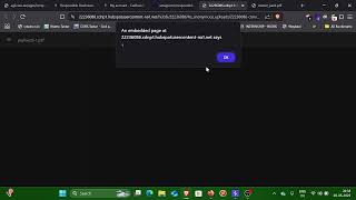 XSS Exploit via PDF File! | 17-Year-Old Hacker Breaks It Down