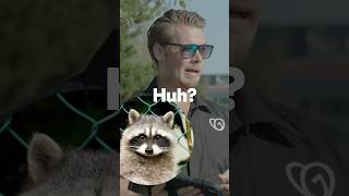 Watch This GoDaddy AI Create The Perfect Business Logo!