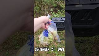 🥑Compost Tumbler🍌