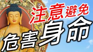 提醒注意避免危害身命《佛說九橫經》。健康零成本。Healthy Free。コストゼロで健康に。비용 없이 건강하게。