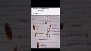 my notes 😂 #study #studentstruggles #student #explore #foryou