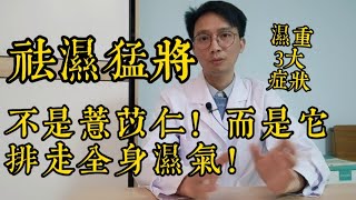 濕氣重，百病生！祛濕猛將不是薏苡仁，而是它！排出全身濕氣，一身輕鬆