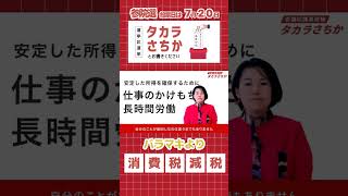 【政策】プロモーション動画②「消費税減税」