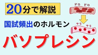 【20分で解説】バソプレシンや尿崩症について解説