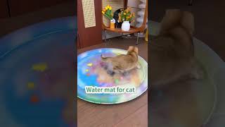 Water mat for cat #cat #bestpetsupplies #catcare