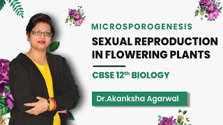 Microsporogenesis | Sexual Reproduction in Flowering Plants | CBSE 12th Biology | Etoos CBSE