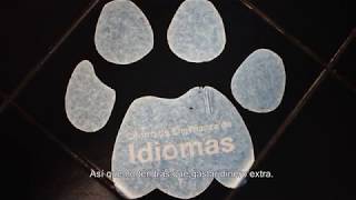 Inglés de negocios UNAM | #FESAcatlán - Fundación UNAM