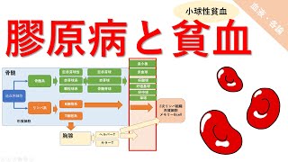 8_各論_小球性貧血_膠原病による貧血