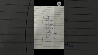 Schema Theory #languageacrossthecurriculum #schematheory #gndu #sem1 #bednotes