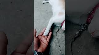 #fkg