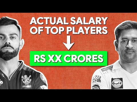 Who is the Real Winner of IPL? | Plus by BigBrainco.