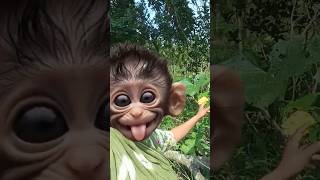 blm same 😁😁✨#funny #trendingshorts #viralvideo 😂😂😂😂😂😂🙏🙏🙏🙏👍👍