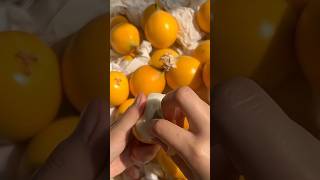 Deliciuous😵‍💫 fal fal🤔🧋#newfruit #all #fruitgarden #food #support #shortvideo #subscribe