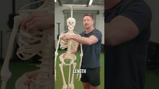The Key To Fixing Lower Back Tightness & Pain