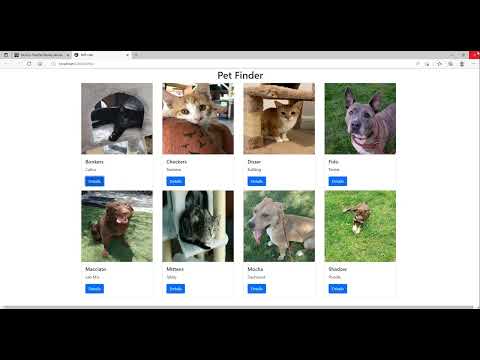 Angular Details Page