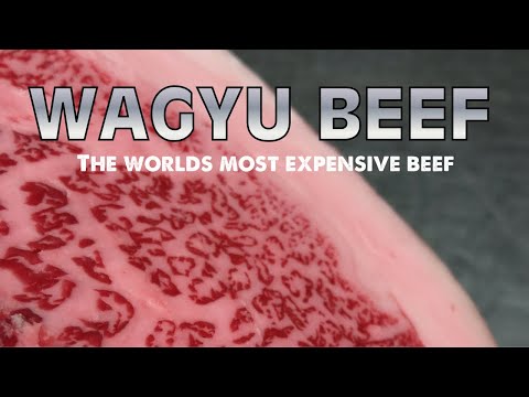 The most expensive beef in the world