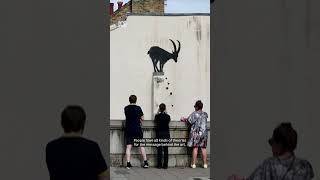Why is Banksy painting animals around London? | ABC News