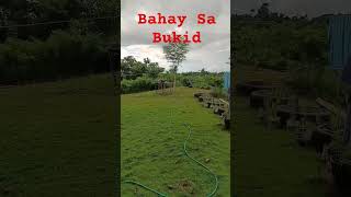 FARM REST HOUSE #boholisland #CORTESBOHOL #farm #bukid #bukidlife