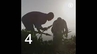 我们如何才能构建可持续的植物生产体系来养活世界?