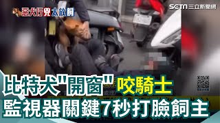 比特犬"開窗"咬騎士  監視器關鍵7秒打臉飼主 起底飼主曾任電子業董座 傳破產"養惡犬防債主" ｜三立新聞網 SETN.com