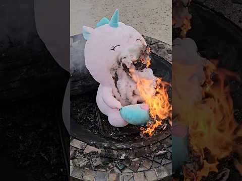 Burning a Big Unicorn Squishmallow! 🔥