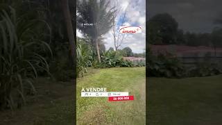 A vendre, Mont Dore Boulari, villa F6 + studio, prix: 26 Millions