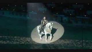 MARIO A. CONTRERAS   MEDIEVAL TIMES *PRE* STALLIONS 2008
