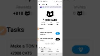 Don't Fade CATS if you miss dogs|| Listing soon 2024 👇