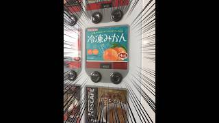 【おもしろ画像】冷凍みかんのホットドリンク！？【アフレコ】