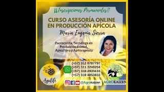Introducción al curso: Producción Apícola con Agrokaizen y Apilife