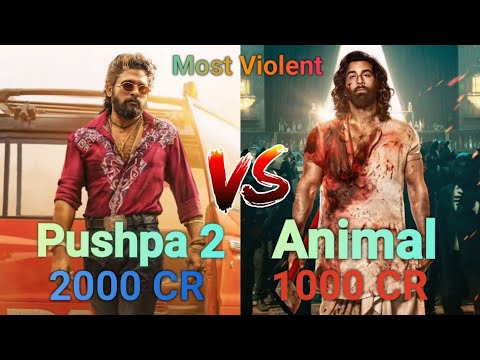 Pushpa 2 V/S Animal Movie Comparison | Box Office Collection Comparison