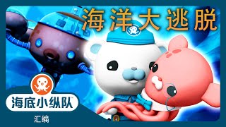 海底小纵队 - 🌊 海洋大逃脱 🛟 | 30分鐘+ 汇编 | 集完整版