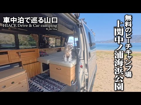 【春の山口車中泊旅＃5/上関町長島】無料の中ノ浦海水浴場キャンプ場で花より団子