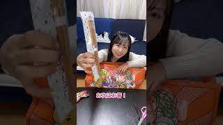 Village Vanguard Lucky Bag 2023 Unboxing💕