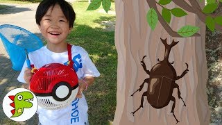 レオくんが公園で昆虫採集するよ！ポケモンの虫かごにいれてみよう！ トイキッズ