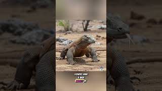 Part 5: Did you know? #Short #Reels #Animals #Lizards