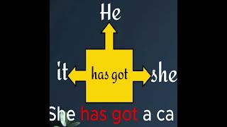 When to Use HAVE GOT and HAS GOT | Simple Explanation  #shorts  #english #englishgrammar #education