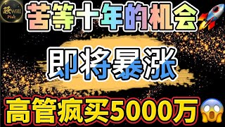 美股投资｜疯了!高管内部抄底5000万!这些潜力股暴涨.行业巨头暴跌.股价跌至10年前.UNH股票分析｜美股趋势分析｜美股期权交易｜美股赚钱｜美股2025