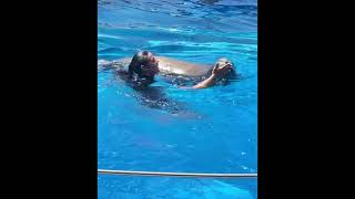 Spending time with Dolphin 🐬