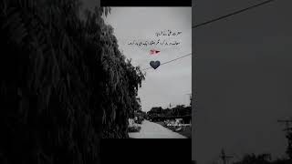 1 November 2024
