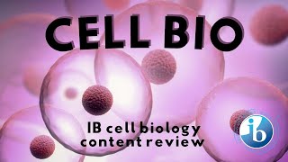 A quick cell biology review | vIBes