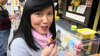 Japan Express! RWC city guide for Kumamoto  - BBC Travel Show