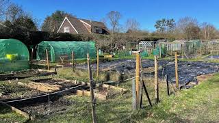 Planning for Sustainable Cities: Community Gardening for Sustainability