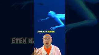 The Japanese ningen