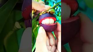 fresh fruit cutting ninja fruit farming #satisfyingfruitcutting #fruitvideos #viral #shorts