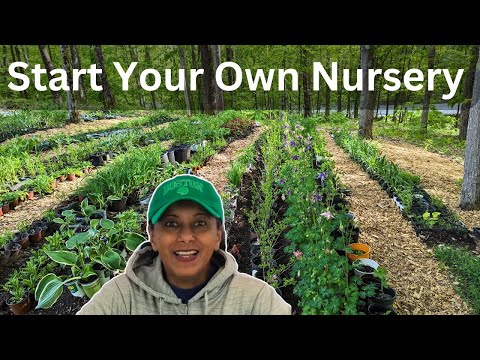 Start A Plant Nursery Business | Selling Plants From Home || Budget Gardening